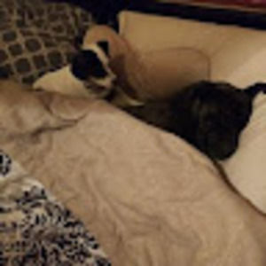 Meet your Posher, Micheala